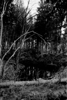 A certain scenery, 2009