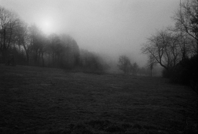 Veritas in nebula latet, 2010